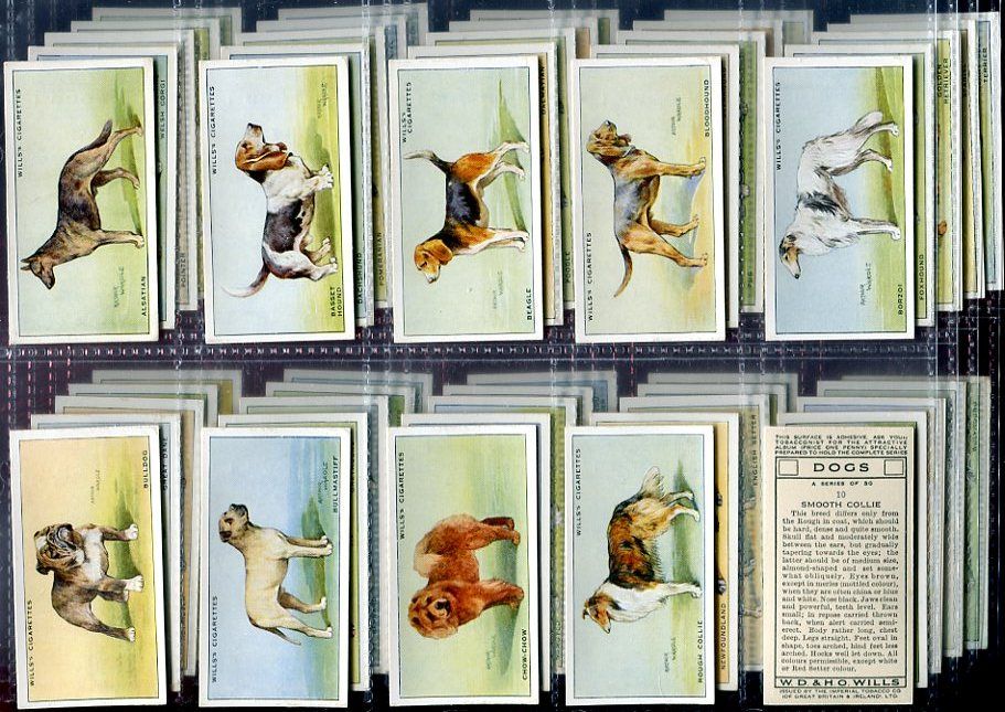 Cigarette Card Set WD HO Wills Dog Breeds ALSATIAN to Wolfhound 1937