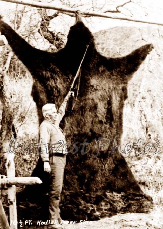 Hunting Photo 10 1 2 Kodiak Bear Skin Hunter Hide Rifle Gun Hunters