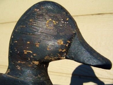 Hen GoldenEye Wood Duck Decoy Ogdensburg NY St Lawrence Seaw