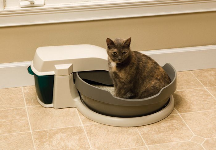 PetSafe PAL17 10786 Simply Clean Cat Auto Litter Box