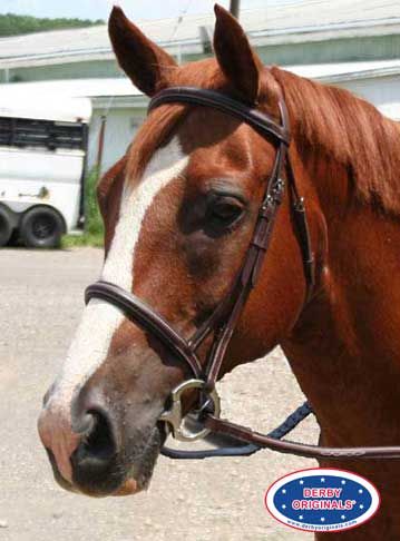 Macmillan Best Rated Padded Raised Horse Bridle w Laced Reins Oversize