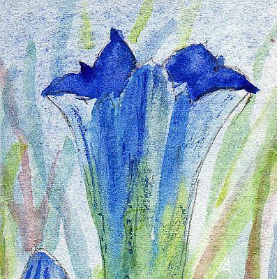 Marsh Gentian Original ACEO Watercolour Painting 3 5 x 2 5