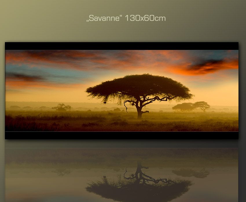 DESIGNBILDER WANDBILD abstrakt modern Afrika Wohnzimmer Kunst 130x60cm