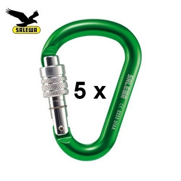 HMS Karabiner Screw G2 Small von Salewa green Klettern UVP 44,75