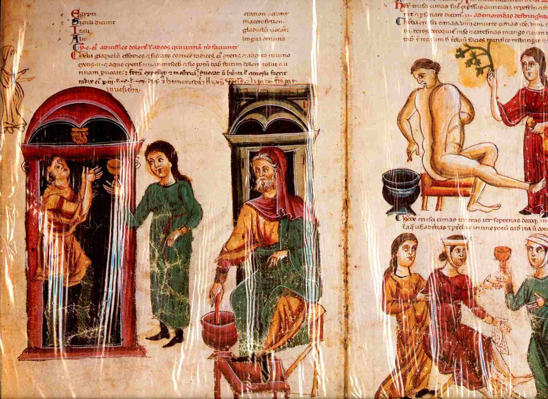 12 Faksimile MEDICINA ANTIQUA = CODEX VINDOBONENSIS 93