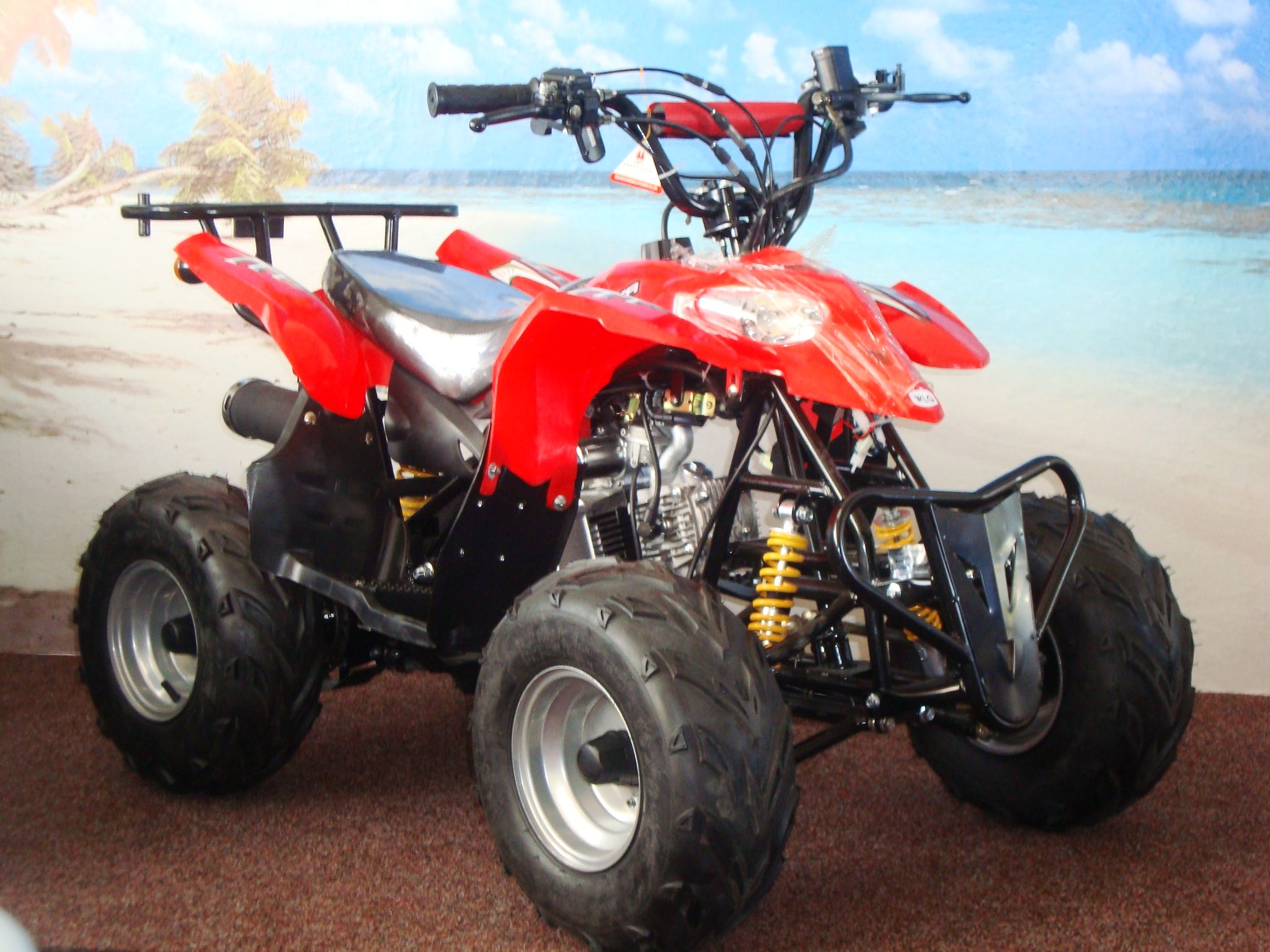 ATV Kinderquad mit Rückwärtsgang Miniquad Pocketquad