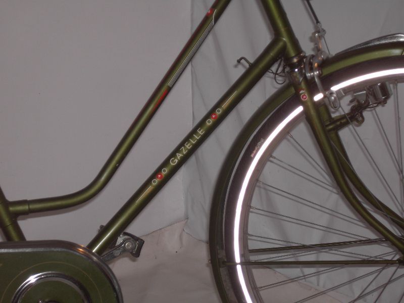 Gazelle 28 Zoll Damen Holland Fahrrad grün Torpedo Frei