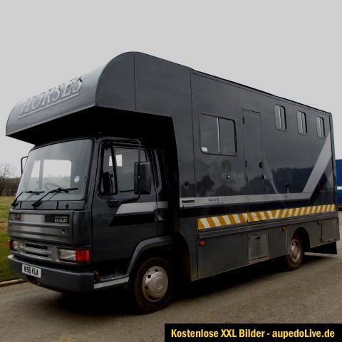 DAF 45 Turbo Pferdetransporter / 3 4 Pferde mit Living Area (Wohnteil