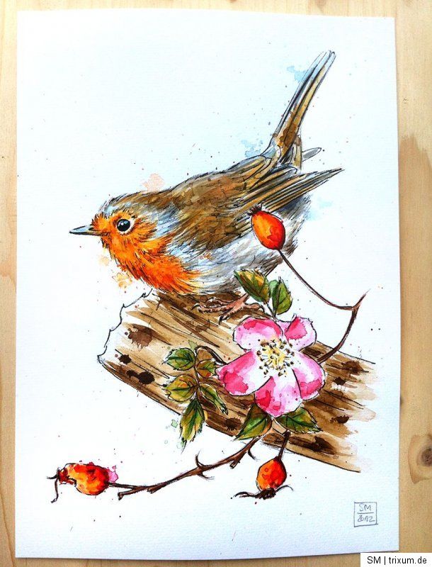 ORIGINAL ZEICHNUNG ROTKEHLCHEN ROBIN AQUARELL VOGEL PAINTING DRAWING