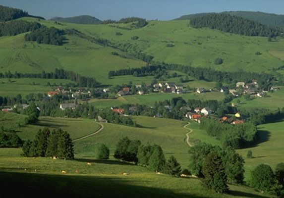 Gruppenreise für 20 P. / mit VP im Schwarzwald