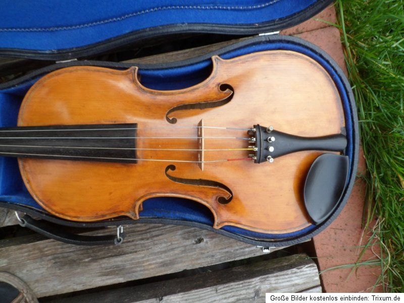 Viola Bratsche Ungarisches Instrument Profiinstrument großer