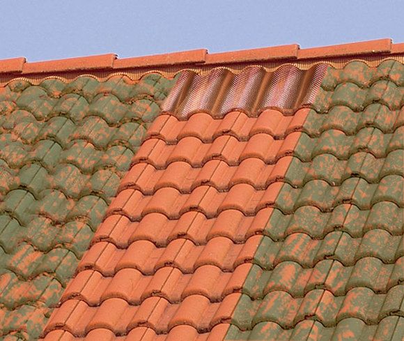 Moos Stopp fürs Dach  bekämpft dauerhaft die Moosbildung auf