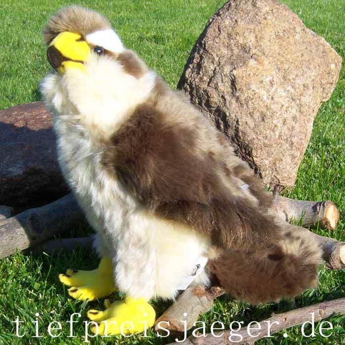 DEKO HABICHT Raubvogel Greifvogel Vogel Tierdeko 009301