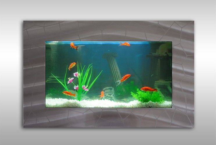 Wandaquarium Aquarium Set Aquarien Bild Bilder Fische