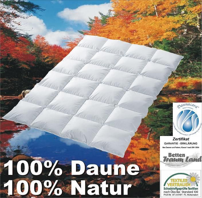 Kassetten Daunenbett Daunendecke Bettdecke 135x200 960g